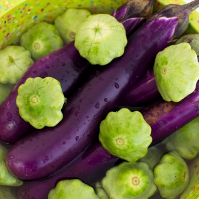 Roasted Eggplant Slices and Summer Squash