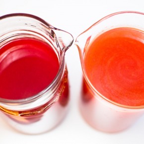 Tangerine Hibiscus Tea Juice