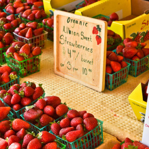 Sacramento Midtown Farmers Market