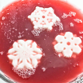 Probiotic Punch with Coconut Milk Snowflakes