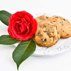 Chewy Chocolate Chip Cookies (Make Ahead Dough)