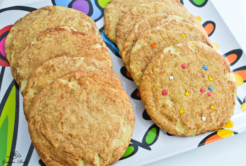 DSC_0401 Cookies on tray, top view